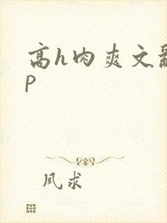 高h肉爽文乱np