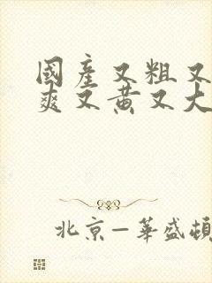 国产又粗又猛又爽又黄又大视频