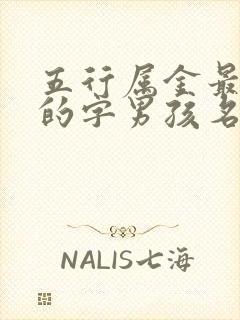 五行属金最吉利的字男孩名字