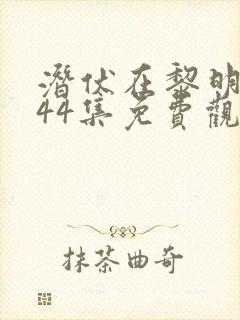 潜伏在黎明之前44集免费观看