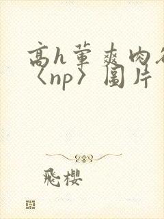 高h荤爽肉欲文〈np〉图片