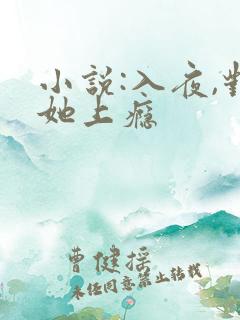 小说:入夜,对她上瘾