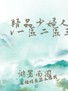 精品少妇人妻av一区二区三区