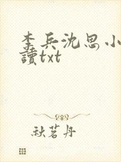 李兵沈思小说阅读txt