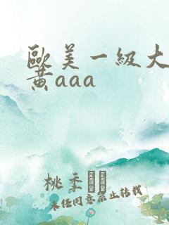 欧美一级大黄特黄aaa
