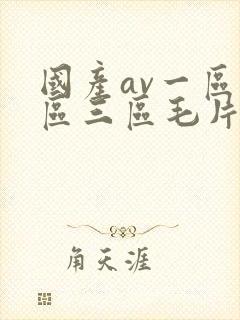 国产av一区二区三区毛片
