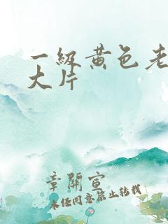 一级黄色老年人大片