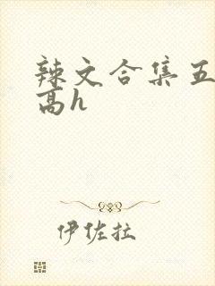 辣文合集五百篇高h