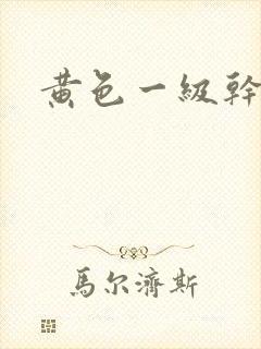 黄色一级干逼片