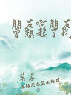 朋友啊朋友你可曾想起了我歌名