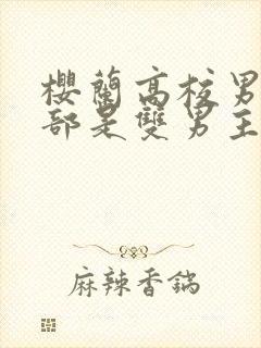 樱兰高校男公关部是双男主吗?