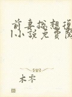 前妻总想复婚gl小说免费阅读