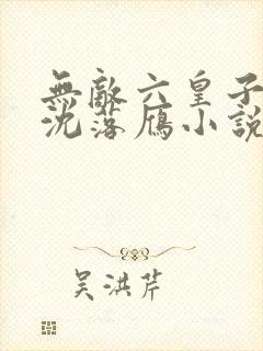 无敌六皇子云铮沈落雁小说下载txt