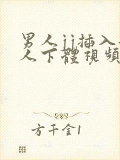 男人jj插入女人下体视频