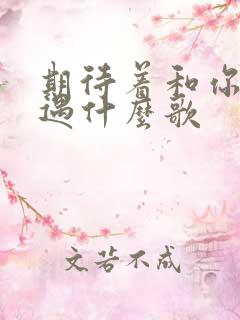 期待着和你再相遇什么歌