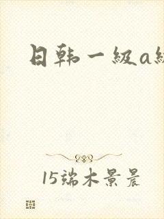 日韩一级a级片