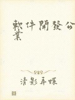 软件开发公司企业