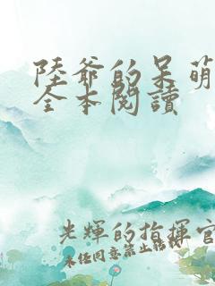 陆爷的呆萌甜妻全本阅读