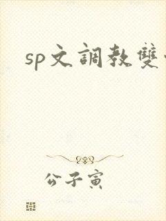 sp文调教双性