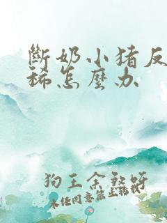 断奶小猪反复拉稀怎么办