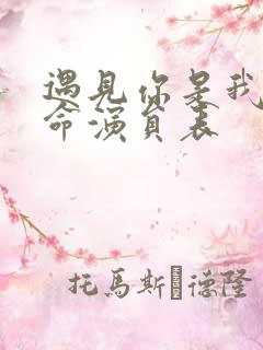 遇见你是我的宿命演员表