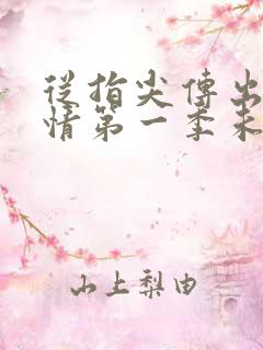 从指尖传出的热情第一季未增