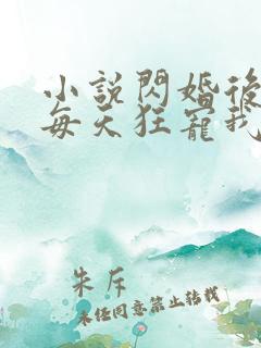 小说闪婚后大叔每天狂宠我免费阅读