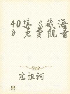 40集《藏海传》免费观看