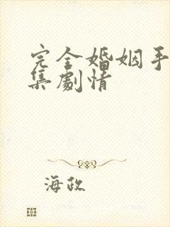 完全婚姻手册分集剧情