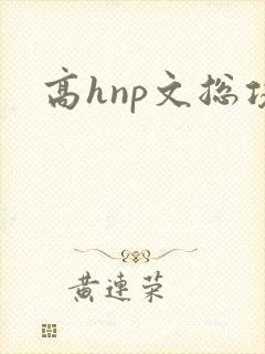 高hnp文总攻