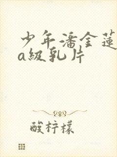 少年潘金莲aaa级乳片