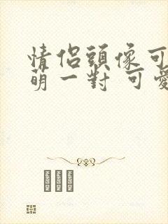 情侣头像可爱呆萌一对 可爱情侣