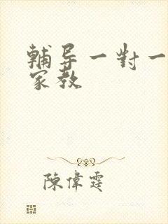 辅导一对一上门家教