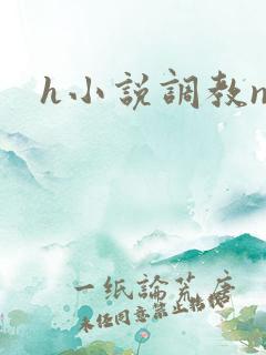 h小说调教np
