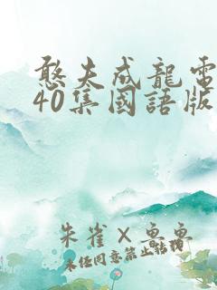 憨夫成龙电视剧40集国语版