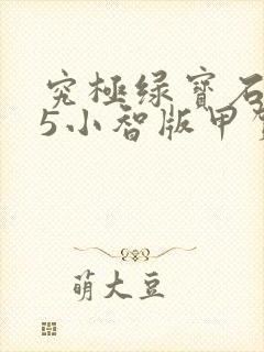 究极绿宝石5.5小智版甲贺忍蛙配招