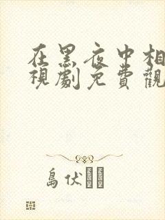 在黑夜中相拥电视剧免费观看