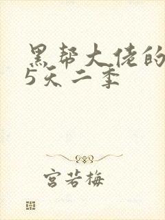 黑帮大佬的365天二季