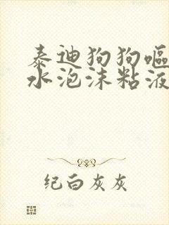 泰迪狗狗呕吐黄水泡沫粘液原因