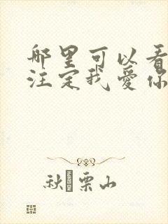 哪里可以看命中注定我爱你