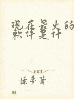 现在最火的约会软件是什