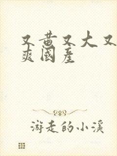 又黄又大又色又爽国产