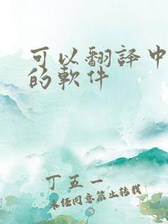 可以翻译中英文的软件