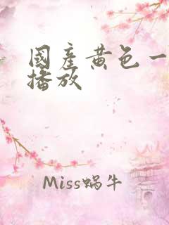 国产黄色一级片播放