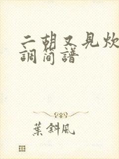 二胡又见炊烟g调简谱