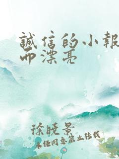 诚信的小报简单而漂亮