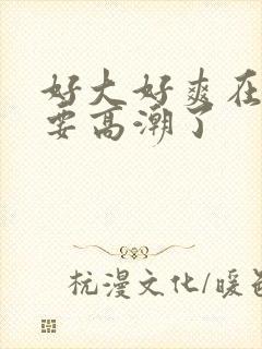 好大好爽在快点要高潮了