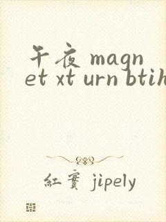 午夜 magnet xt urn btih