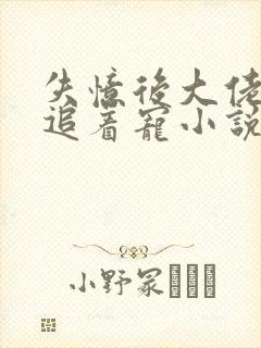 失忆后大佬前夫追着宠小说