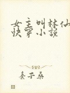 女主叫林仙豆的快穿小说